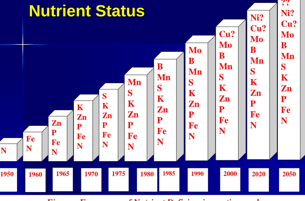 Figure : Emergence of Nutrient Deficiencies on time scale 