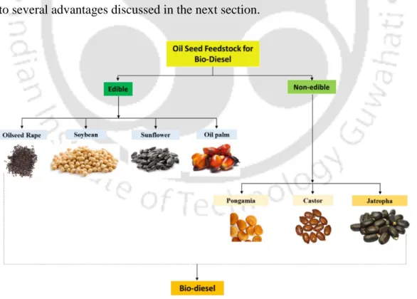 Figure 2.1 Feedstock’s for biodiesel production 