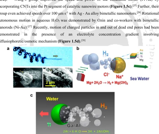 Figure 1.6. Bubble Propulsion. (a) Propulsion of nanotools capable of drilling applications