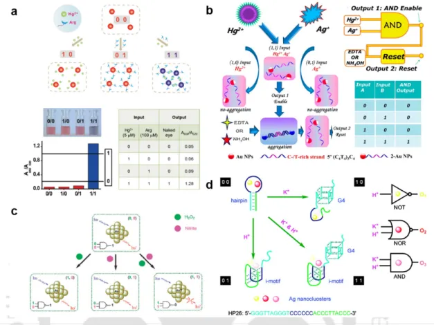 Figure 1.9. (a, b) Colorimetric implementation of AND logic based on Au NPs with ions as inputs