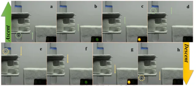Figure  2.5. Autonomous Triggering Device. The device was constructed by connecting the output of the  autonomous signal generator to the circuit