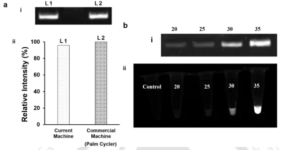 Figure  4.7. Amplification of DNA with the device and Au NCs as signal generating agent for PCR amplicon  quantification