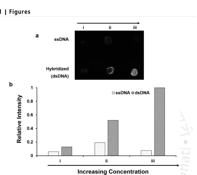 Figure C4.1. Luminescence profile of Au NCs synthesized on ssDNA and dsDNA on nitrocellulose membrane