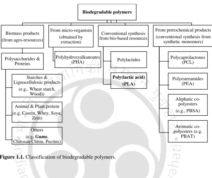 Figure 1.1. Classification of biodegradable polymers. 