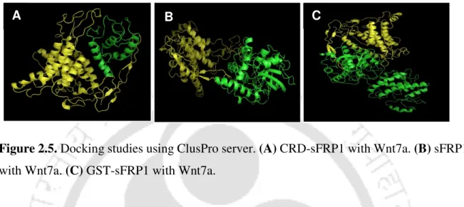 Figure 2.5. Docking studies using ClusPro server. (A) CRD-sFRP1 with Wnt7a. (B) sFRP1  with Wnt7a