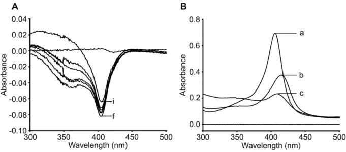 Figure 4.1: Methemoglobin has potentials to bind and oxidize PQ. (A) PQ  binds to MetHb