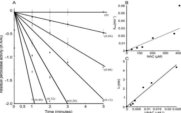 Figure 5.2 NAC mediated MetHb inactivation kinetics in the presence of hydrogen peroxide