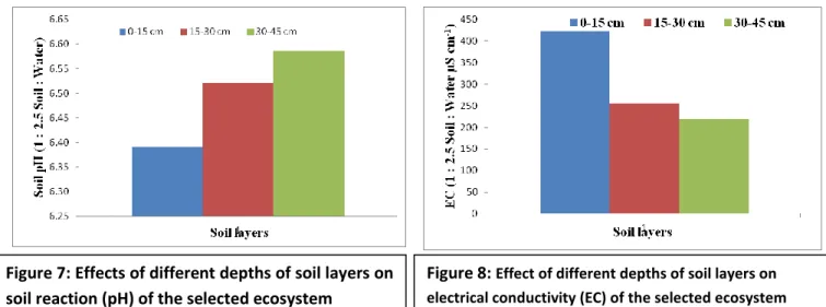 Figure 8:  Effect of different depths of soil layers on  electrical conductivity (EC) of the selected ecosystem