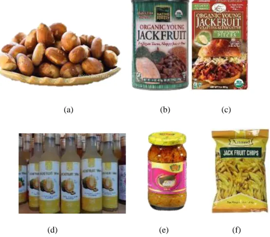 Figure 1. 7: Value-added products (a) Roasted Jackfruit seeds; (b) Young Jackfruit  bulbs; (c) Unseasoned jackfruit; (d) Jackfruit wine (e) Jackfruit pickels (g) Jackfruit 