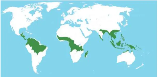 Figure 2.2: Spread of jackfruit in the world (Source: FAO report 2014) 