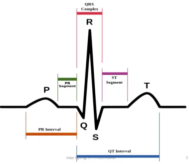 Figure 2.1: Sample ECG Waveform
