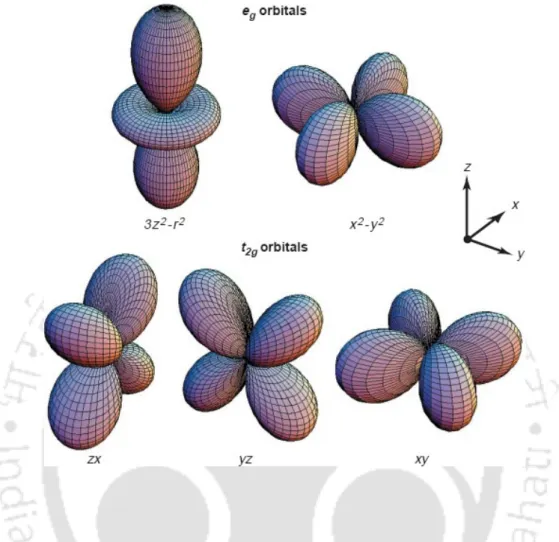 Figure 1.4: Five d orbitals. In the cubic crystal field, this fivefold degeneracy is lifted to two  e g