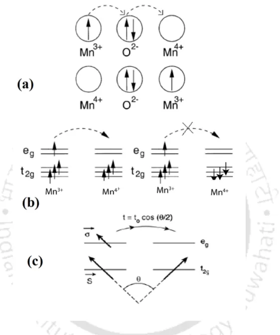 Figure  1.6:  Schematic  diagram  of  double  exchange  interaction  across  two  Mn  ions  through  an  oxygen ion
