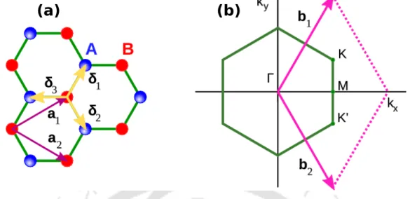 Figure 1.3: (a) Honeycomb lattice structure of graphene. The vectors δ 1 , δ 2 and δ 3 connect nn carbon atoms separated by a distance a = 1.42 ˚ A