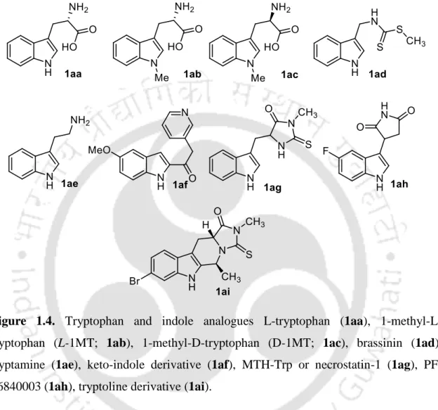 Figure  1.4.  Tryptophan  and  indole  analogues  L-tryptophan  (1aa),  1-methyl-L- 1-methyl-L-tryptophan  (L-1MT;  1ab),  1-methyl-D-tryptophan  (D-1MT;  1ac),  brassinin  (1ad),  tryptamine  (1ae),  keto-indole  derivative  (1af),  MTH-Trp  or  necrostat