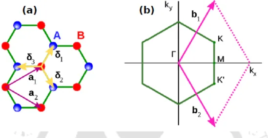 Figure 1.7: (a) Honeycomb lattice structure of graphene. The vectors ~ δ 1 , ~ δ 2 and ~ δ 3