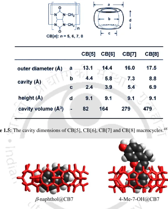 Figure 1.5: The cavity dimensions of CB[5], CB[6], CB[7] and CB[8] macrocycles. 48