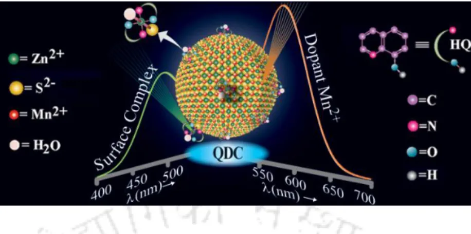Figure 1.7.  Schematic representation of dual color emitting surface complexed Mn 2+  doped ZnS  Qdots  (Reprinted  with  permission  from  reference  35