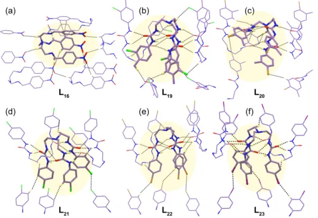 Fig. 6.4 Partial X-ray structures depicting non-covalent interactions of a particular receptor unit (ball and stick) with  adjacent ligand conformers (wireframe) in individual free receptor structure of (a) L 16 , (b) L 19 , (c) L 20 , (d) L 21 , (e)  L 22