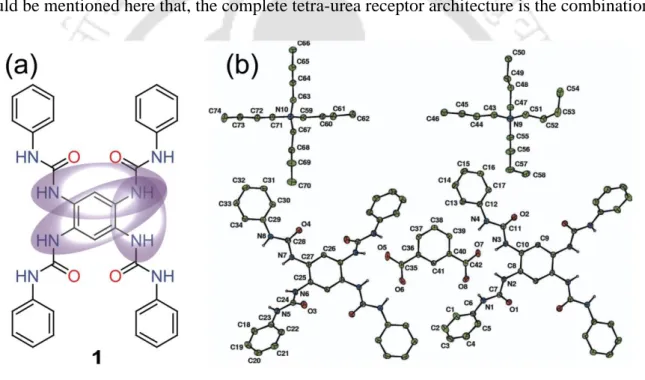 Fig. 1.2 (a) Molecular structure of receptor 1 containing o-, m- and p-phenylenediamine spacer and (b) the ORTEP  plot (30% probability level) of isophthalate dianion binding of 1 through most convergent o-phenylenene connected  bis-urea sides