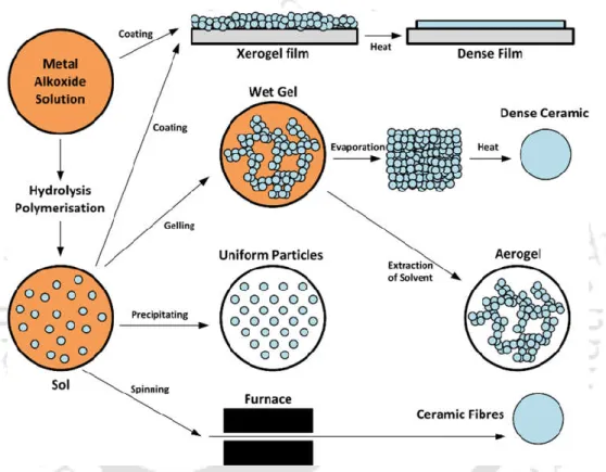 Figure 2.1:  Schematic of sol-gel processes leading to nanoscale powders or a dense film