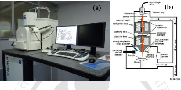 Figure  2.3:  (a)  Photograph  of  the  Field  Emission  Scanning  Electron  Microscope  (Sigma  Zeiss, Germany)