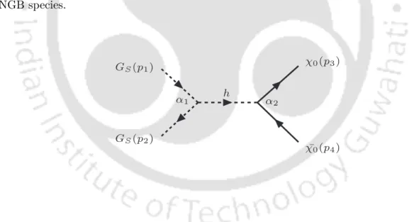Figure 5.10: Feynman graph for Neutralino-pNBG interaction