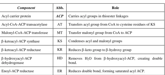 Table 1 : Seven components* of the fatty acid synthase complex from Escherichia coli.  