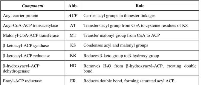Fig. 7 - A comparison among the fatty acid synthase complexes from different sources. 