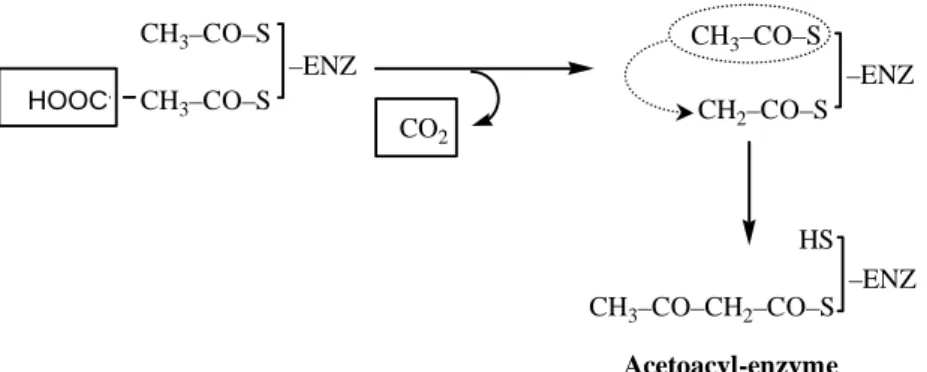 Fig 9. First condensation reaction in the biosynthesis of a fatty acid 