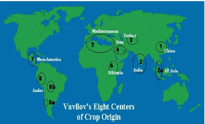 Figure 1.1.  Vavilov’s eight centres of crop origin 