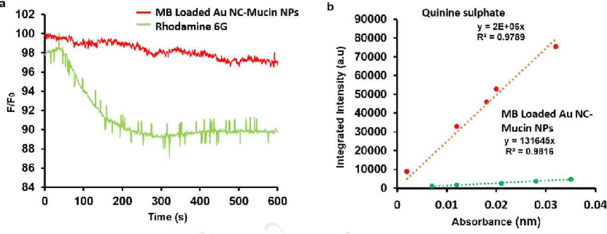 Figure C4.3. (a) Photo stability of MB loaded Au NC-mucin NPs. (b) Quantum yield of MB loaded Au NC-mucin NPs