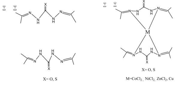 Figure 1: Bis 1,1’ disubstituted ferrocenyl carbohydrazone ligands and its metal complexes 