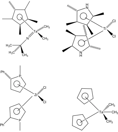 Figure 2: Examples of different derivatives of metallocenes