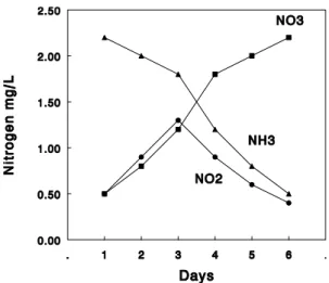 Figure 9:  Role of nitrogen bacteria in sewage water treatment.  