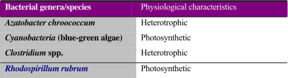 Table 1:  Some examples of Nonsymbiotic Nitrogen-fixing bacteria 