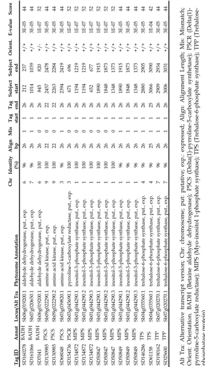 Table 2. BlastN results of SuperSAGE osmoprotectants-related tags from sugarcane roots  under hydric deficif against cDNAs of Sorghum bicolor (Phytozome database)