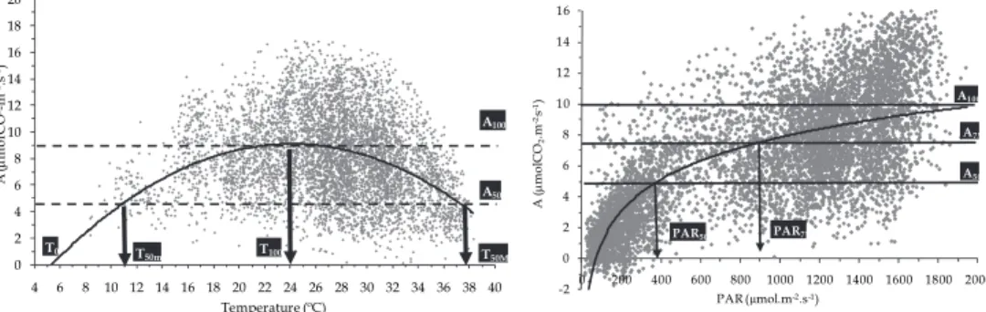 Fig. 2. Threshold temperature (left) and radiation (right) for photosynthesis rates in chestnut  leaves