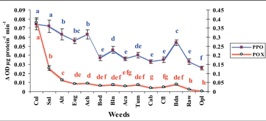 Fig. 4. Activity of polyphenol oxidase and peroxidase in the invasive and native weeds 