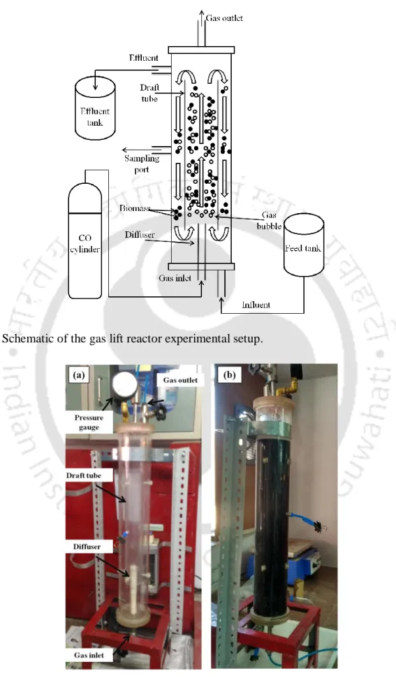 Fig. 7.1 Schematic of the gas lift reactor experimental setup. 