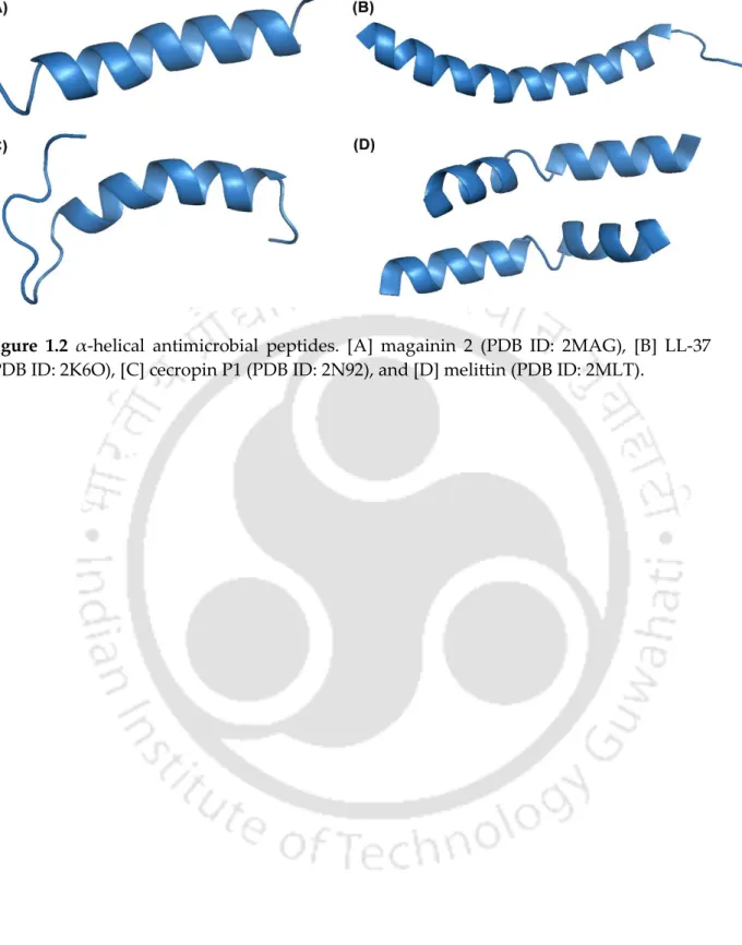 Figure  1.2  α-helical  antimicrobial  peptides.  [A]  magainin  2  (PDB  ID:  2MAG),  [B]  LL-37  (PDB ID: 2K6O), [C] cecropin P1 (PDB ID: 2N92), and [D] melittin (PDB ID: 2MLT)