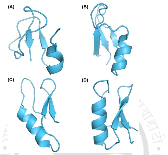 Figure 1.6 α-β  structured antimicrobial peptides. [A] human β-defensin-1 (PDB ID: 1E4S),  [B] heliomicin (PDB ID: 1I2U), [C] plectasin (PDB ID: 1ZFU), and [D] drosomycin (PDB ID: 