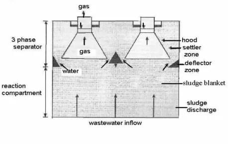 Figure 10: Upflow anaerobic sludge blanket reactor 