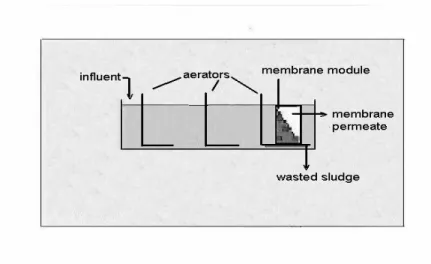 Figure 9:  Membrane bioreactor 