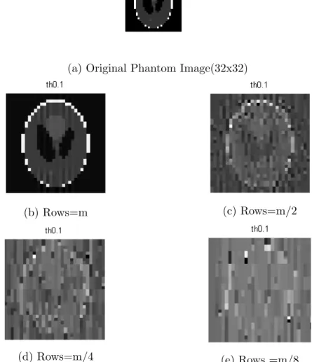 Figure 6.1: Reconstruction Phantom Image(32x32) at Threshold=0.1 by Wavelet based OMP