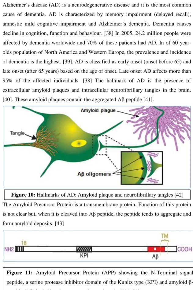 Figure 10: Hallmarks of AD: Amyloid plaque and neurofibrillary tangles [42] 