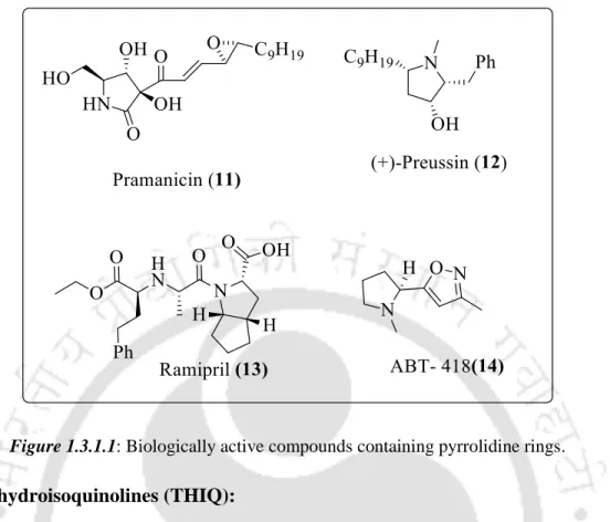 Figure 1.3.1.1: Biologically active compounds containing pyrrolidine rings.  