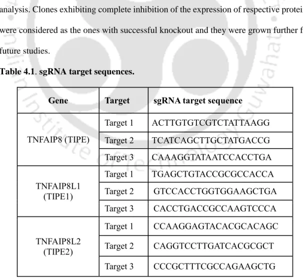 Table 4.1. sgRNA target sequences. 