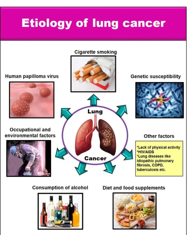 Figure 1.2. Different risk factors associated with lung cancer  