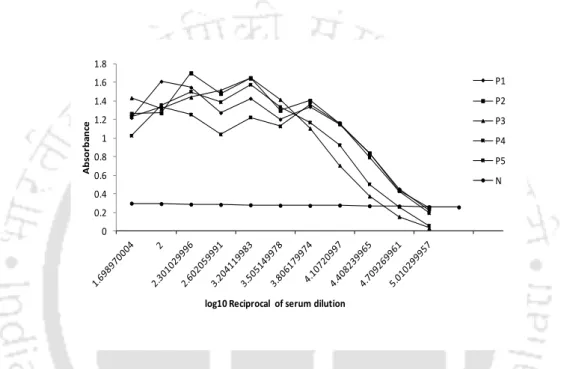Figure 4.1.  Positive-negative threshold (PNT) baseline  with  different serum  samples